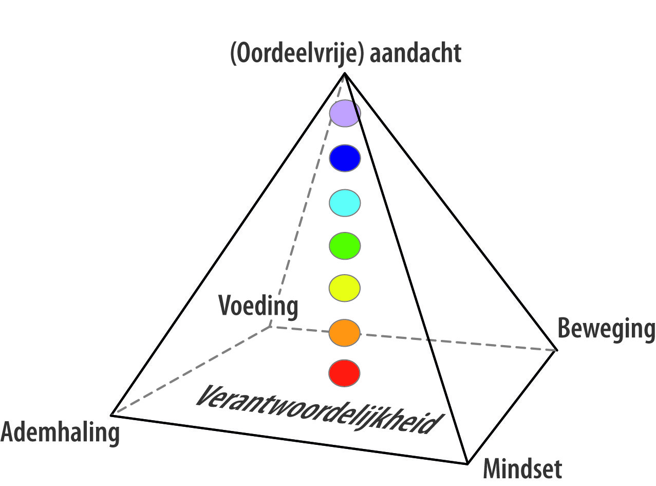 Piramide van Inzicht ontwikkeld door trainer Evert Heinz